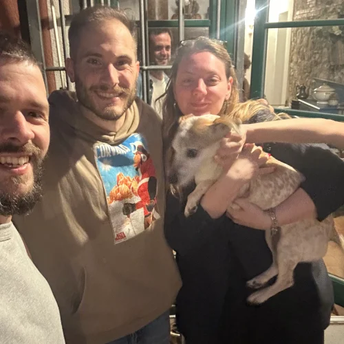 Cane salvato su una parete scoscesa al 1° giorno di intervento