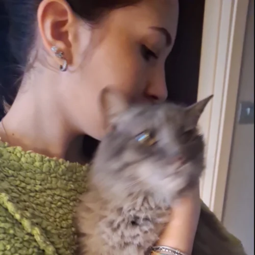 Gatto ritrovato in 30 minuti dall'inizio intervento