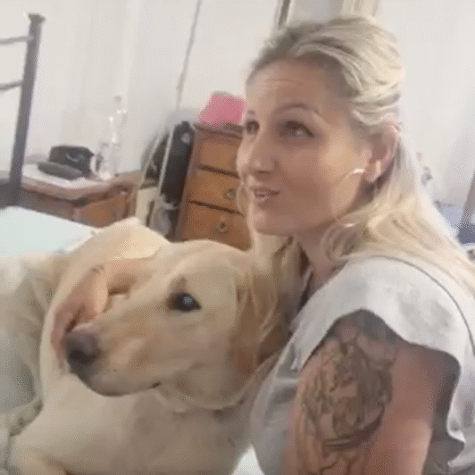 Cane individuato e monitorato per tutto il giorno