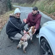 Cane intercettato e recuperato al 1° giorno di intervento dopo 4 giorni di ricerche